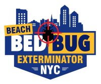 Bed Bug Exterminator NYC