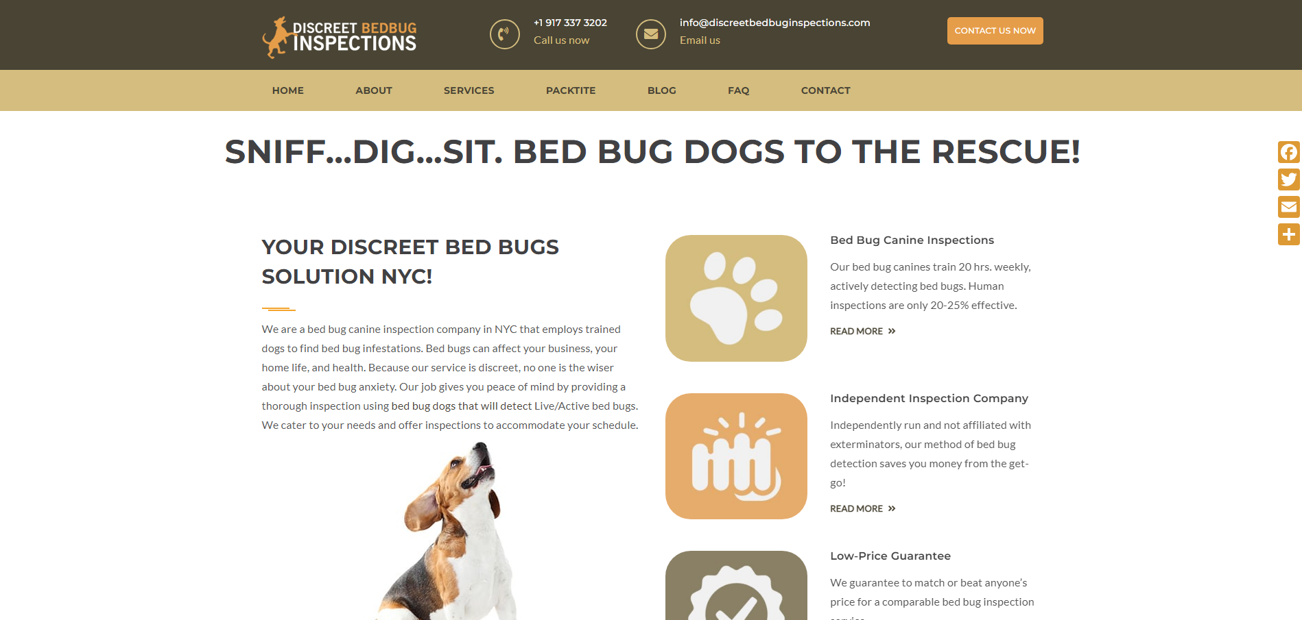 Discreet Bedbug Inspections